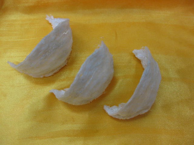 燕窝